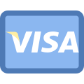 Visa icon