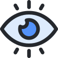 Eye icon