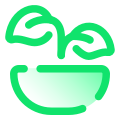 Healthy Food icon