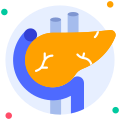 Pancreas icon