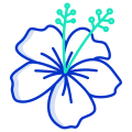 Hibiscus icon