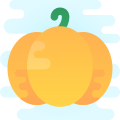 Pumpkin icon