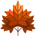 Maple Leaf icon