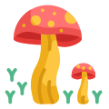 Champignon icon