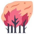 Forest Fire icon