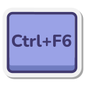 Ctrl + F6 icon