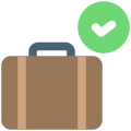 Accepted Luggage icon