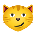 Кот с кривой улыбкой icon