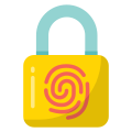 Biometric Lock icon