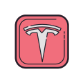 Tesla Logo Filled icon