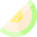 Melon icon