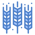 Grain icon