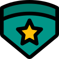 Double emblem with star insignia badge for high ranking officer icon