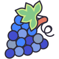 Grape icon