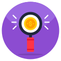 Search Dollar icon