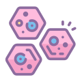 Körperzellen icon