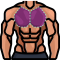 Muscular man icon