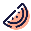 Watermelon icon