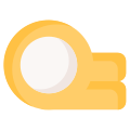 Coin icon