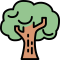 Tree icon