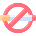 No Smoking icon