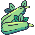 Courgette icon