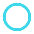 Circle icon