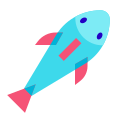 Draufsicht Fisch icon