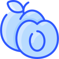 Abricot icon