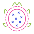 Dragon Fruit icon