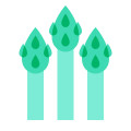 Spargel icon