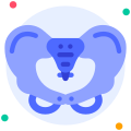 Pelvis icon