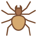 Spinne icon