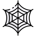 Spider Web icon