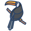 Toucan icon