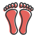 Footprint icon