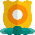 Medal for the Homeland security with shield and circle icon