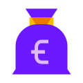 Bolsa de dinero de euros icon