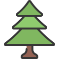 Sapin icon