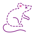 Mouse Animal icon