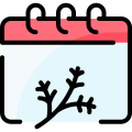 Calendario icon