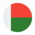 Madagascar icon