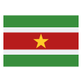 suriname icon