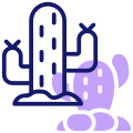 Cactus icon