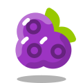 Blueberry icon