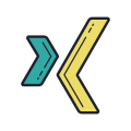 XING icon