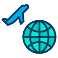 International Flight icon