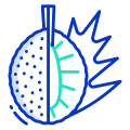 Breadfruit icon