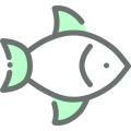 鱼 icon