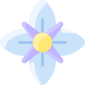 Clematis icon